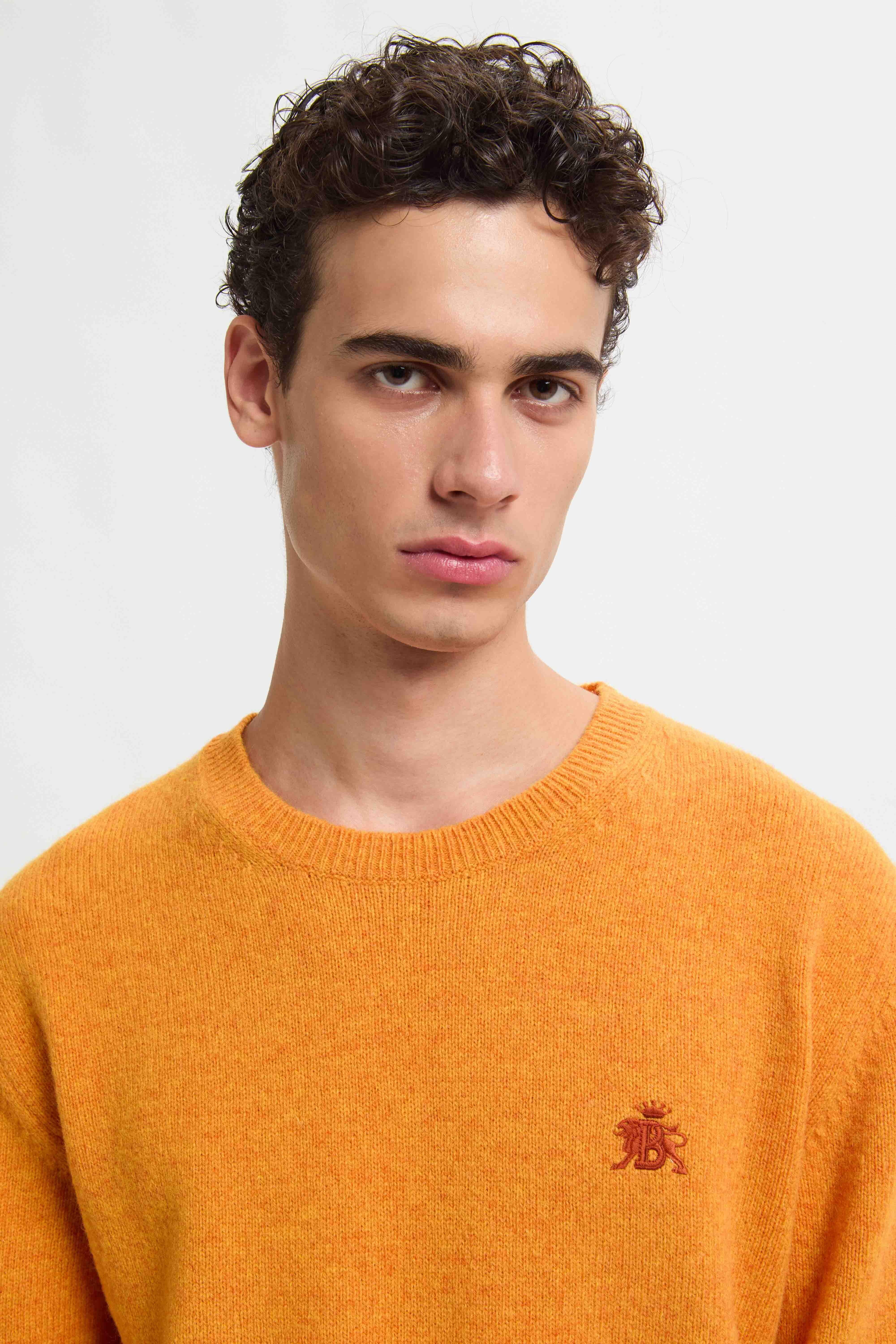 Shetland Crewneck - Image 4